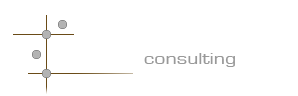 TIXE Consulting Logo